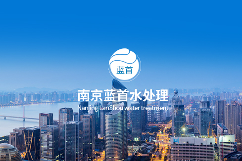 茌平建站-南京蓝首水处理设备有限公司